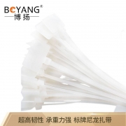 博扬 BOYANG BY-ZD-211  2.5*100MM 100根/包 白色 尼龙标签扎带