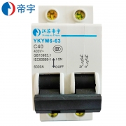 帝宇 YKYM6-63 2P 63A 微型断路器（单位：只）