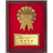 定制纪念章 15CM*20CM