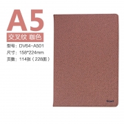 前通 DV64-A501 A5 100页 皮面笔记本 （计价单位：本） 咖色 咖色 A5 100页