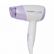 飞科 FLYCO 电吹风机 FH6222 1600W (白色)