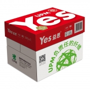 红益思 80克 A4 复印纸 500张/包 5包/箱（计价单位：箱）