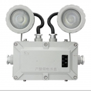 通明电器  消防应急照明灯具/防爆应急灯 TM-ZFZD-E6W-BC5200
