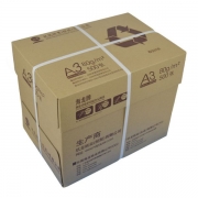 （绿色环保）玖龙海龙系列 复印纸 500张/包 5包/箱 A3 80g 1箱装 （仅供广东）