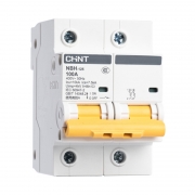 正泰/CHNT 小型断路器 NBH-125 2P C100A(计价单位：个)