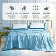 罗莱 水洗蚕丝夏被子被芯 蚕丝水洗夏被-天青220*250CM （单位：张）