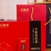 正皓茶 正之韵大树普洱生茶（2021） 320g礼盒