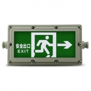 鼎晟丰（DSF）（GBHX）BB12-M/B2 LED防爆应急标志灯绿色2W 单面向右