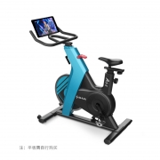 舒华(GBHX)  家用智能动感单车A5-S 运动健身器材13KG磁控飞轮 SH-B599