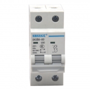 赛时工控 SKSB8-80/2 80微型断路器 白色(单位：台）