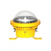 劲荣（JINRONG） 大地照明 DD8180-B 12W LED防爆灯 黄色(单位：套）