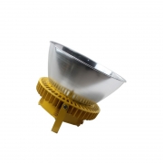 劲荣（JINRONG） 大地照明 DD8800-A 200W LED防爆灯（含灯罩安装组件） 黄色(单位：套）