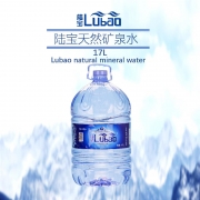 陆宝 17L矿泉水一次性桶装水 富含高偏硅酸 饮用天然矿泉水 配色(单位：桶）