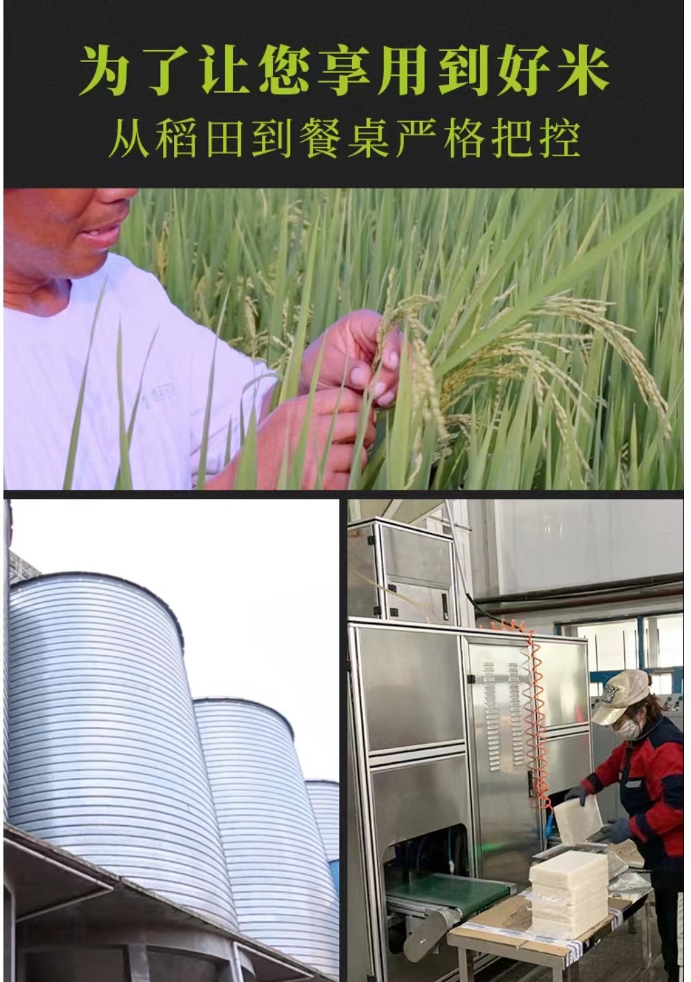 20230330105310311.jpg