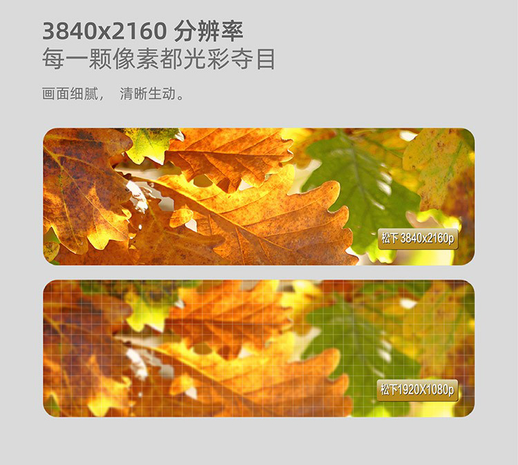 20230408070957568.jpg