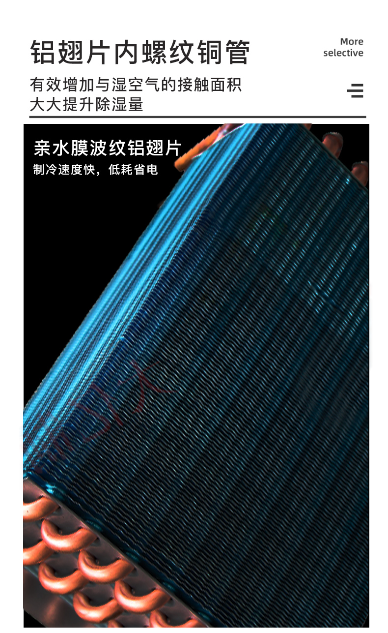 20230420045849206.jpg